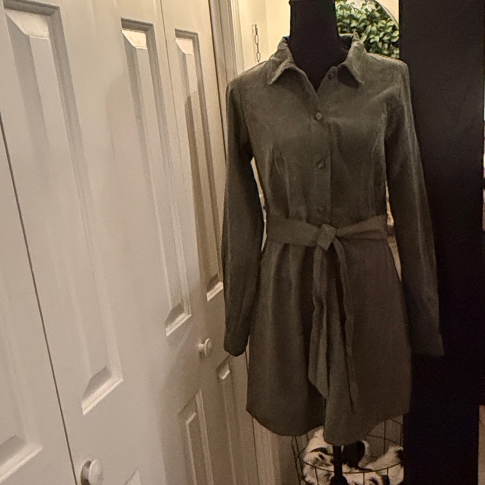 Francesca's Olive Green Mini Dress